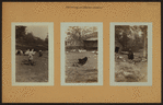 Farming on Staten Island