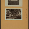 Farming on Staten Island