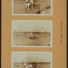 Farming on Staten Island