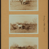 Farming on Staten Island