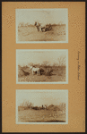 Farming on Staten Island