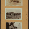 Farming on Staten Island