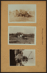 Farming on Staten Island