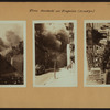 Fires - Accidents and tragedies - Brooklyn.