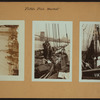 Fulton fish market - [Fishing schooner Viking.]