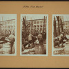 Fulton fish market docks in Manhattan - [Hoisting fish from schooner.]