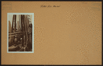 Fulton fish market docks in Manhattan - [Trawler Katherine of Saunders.]