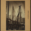 Fulton fish market in Manhattan - [Fishing schooner.]