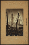 Fulton fish market in Manhattan - [Fishing schooner.]