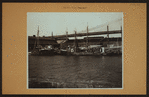 Fulton fish market in Manhattan - [Fishing schooners unloading at North dock.]