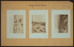 Islands - Coney Island beach - [Sunbathers.]
