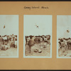 Islands - Coney Island beach - [Sunbathers.]