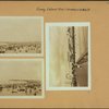 Islands - Coney Island pier - [Boardwalk - Steeplechase Park.]