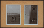 Islands - Governor's Island - Polo Players.