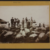Islands - Hoffman Island - Immigrants.