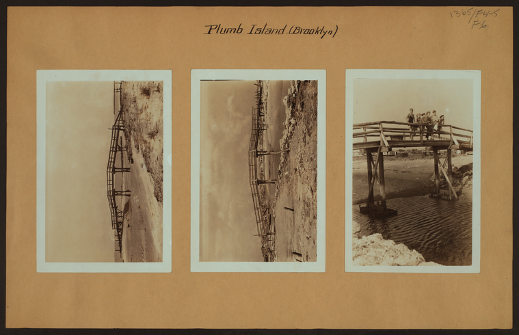 Islands - Plumb Island - Brooklyn. - NYPL Digital Collections