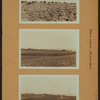 Islands - Rikers Island - Prison farm.