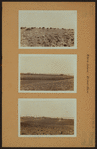 Islands - Rikers Island - Prison farm.