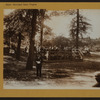 Music Municipal Program - Manhattan - Washington Park Band concerts.