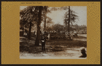 Music Municipal Program - Manhattan - Washington Park Band concerts.