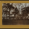 Music Municipal Program - Manhattan - Central Park Band concerts.