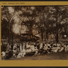 Music - Municipal music program - [Central Park band concert.]