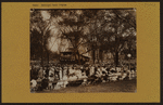 Music - Municipal music program - [Central Park band concert.]