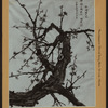 Newspapers - China Daily News Series No. 23.