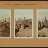 Occupations - Peddlers - Christmas trees.