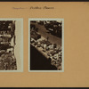 Occupations - Peddlers - Flowers.