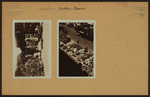 Occupations - Peddlers - Flowers.