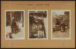 Occupations - Peddlers - Foodstuffs - Poultry.
