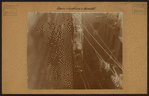 Social conditions - [Rear view of buildings.]