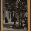 Street scenes - Park Avenue [residents walking their pets.]