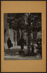 Street scenes - Park Avenue [residents walking their pets.]