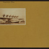 Transportation - Ships.