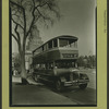Transportation - Buses.