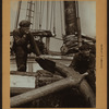 Workmen and laborers - [Newfoundland seamen - Newtown Creek, Long Island City.]