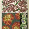 1. Flowers and foliage; 2. Flowers and foliage; 3. Flowers and foliage