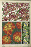 1. Flowers and foliage; 2. Flowers and foliage; 3. Flowers and foliage