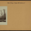 Coon Swamp - Dongan Hills - Richmond [Staten Island.]