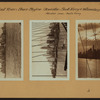 East River - Shore and skyline - Lower Manhattan - South Ferry - Williamsburg Bridge - Maiden Lane.
