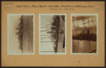 East River - Shore and skyline - Lower Manhattan - South Ferry - Williamsburg Bridge - Maiden Lane.
