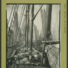 East River - River scenes - Pier 11 - Manhattan.