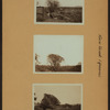 Horse Brook - Queens - [56th Avenue - Between Justice Avenue and Queens Boulevard.]