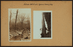 Jackson Mill Creek - Queens - Bowery Bay - [North Beach.]