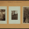Ketchum's Mill Pond - Staten Island - [Richmond.]