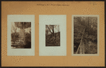 Ketchum's Mill Pond - Staten Island - [Richmond.]