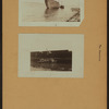 The Narrows - Staten Island [Richmond - Shore of Rosebank.]