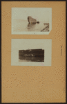 The Narrows - Staten Island [Richmond - Shore of Rosebank.]